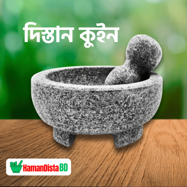 হামান দিস্তা কুইন