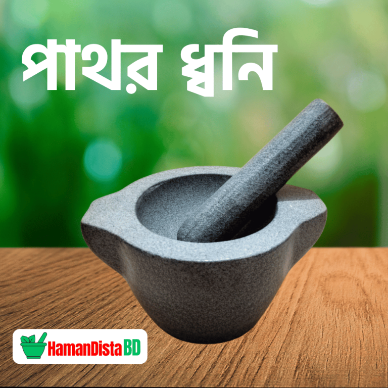 পাথর ধ্বনি পাথরের হামান দিস্তা