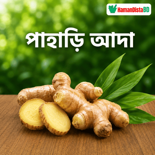 পাহাড়ি আদা