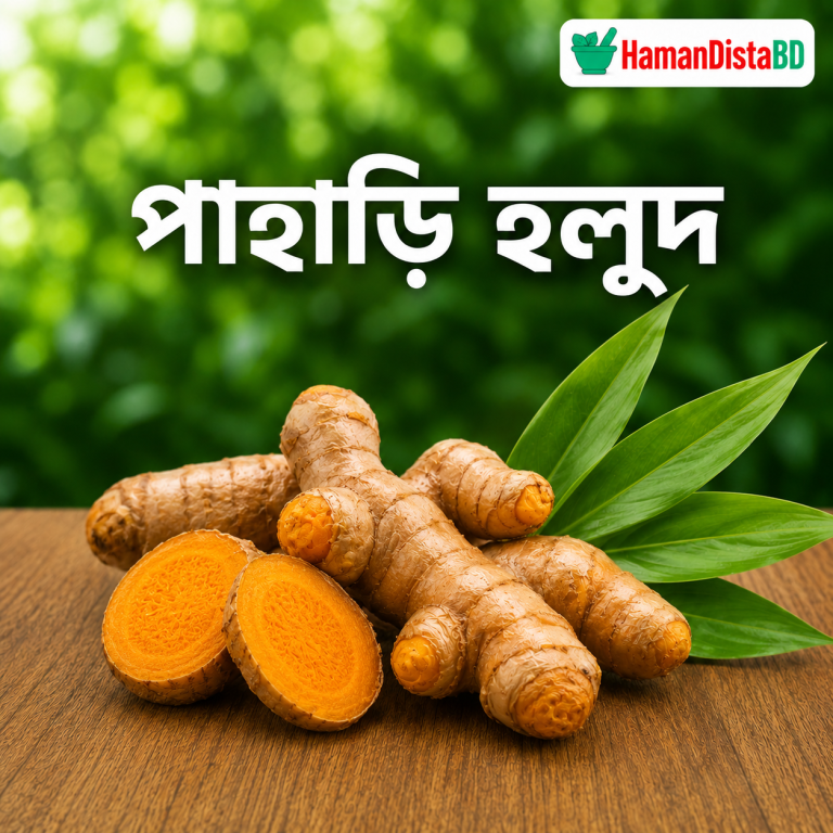 পাহাড়ি হলুদ